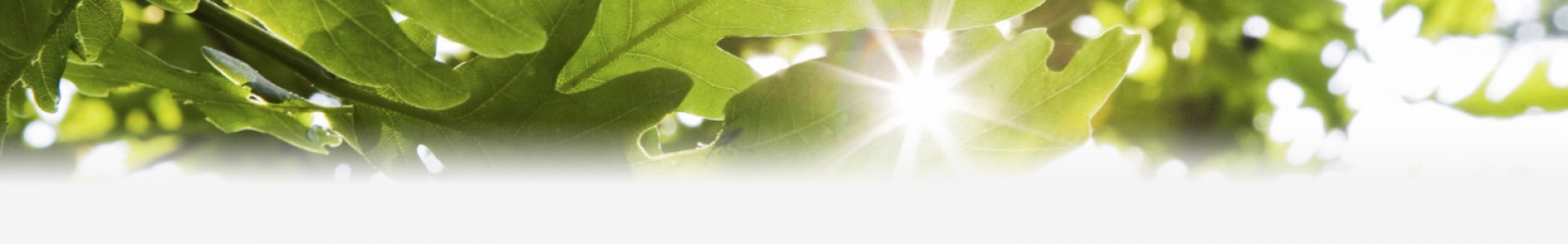 baner9